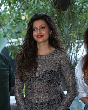 Hamsa Nandini - Big Bang New Year Event Poster Launch Photos | Picture 1618817