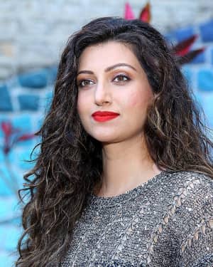 Hamsa Nandini - Big Bang New Year Event Poster Launch Photos | Picture 1618800
