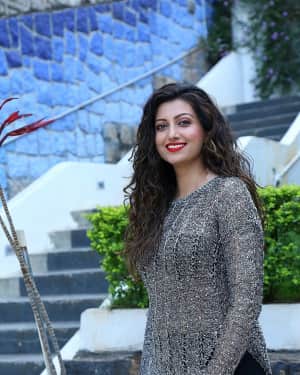 Hamsa Nandini - Big Bang New Year Event Poster Launch Photos | Picture 1618807