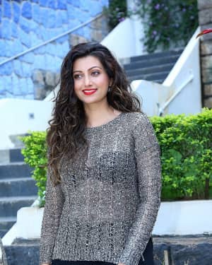 Hamsa Nandini - Big Bang New Year Event Poster Launch Photos | Picture 1618805