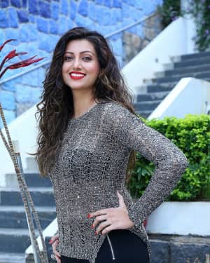 Hamsa Nandini - Big Bang New Year Event Poster Launch Photos | Picture 1618802