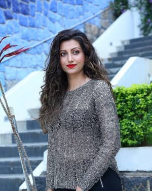Hamsa Nandini - Big Bang New Year Event Poster Launch Photos | Picture 1618806