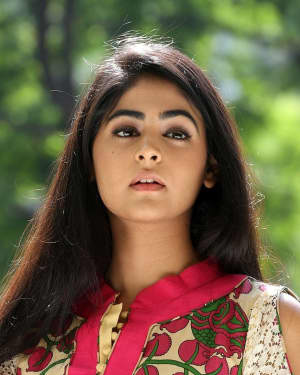 Actress Palak Lalwani Interview About Juvva Telugu Movie Photos | Picture 1567332