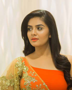 Anchor Srimukhi Hot For Zee Gold Awards 2017 Photos | Picture 1556722