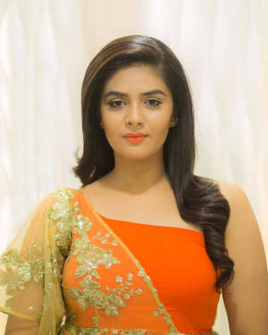 Anchor Srimukhi Hot For Zee Gold Awards 2017 Photos | Picture 1556718