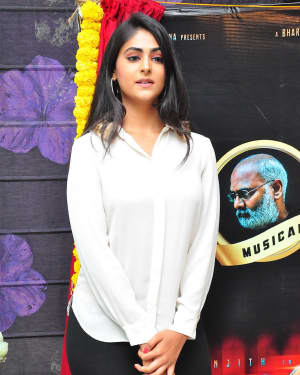 Palak Lalwani - Juvva Telugu Movie First Look Launch Photos | Picture 1559052