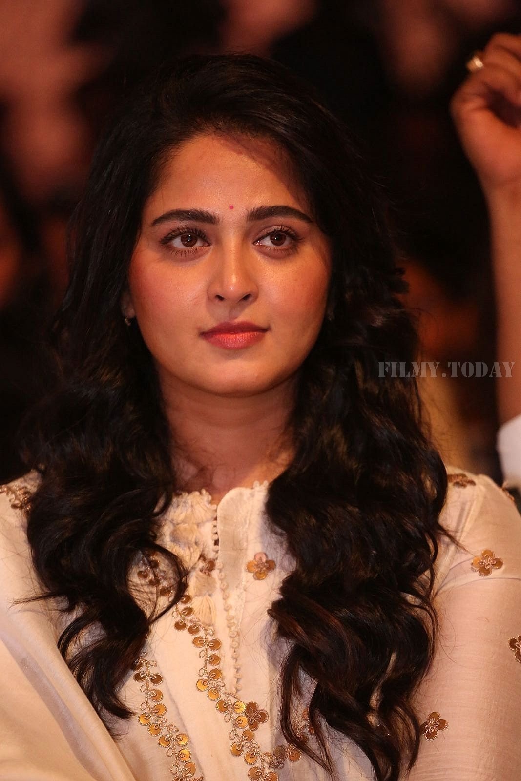 Anushka Shetty - Bhaagamathie Pre Release Event Photos | Picture 1560359