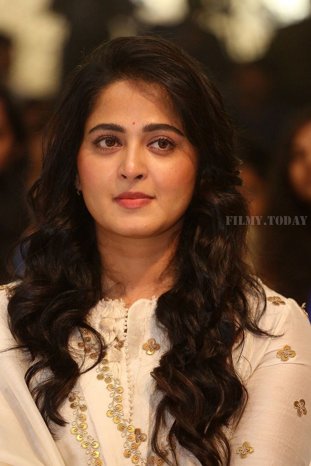 Anushka Shetty - Bhaagamathie Pre Release Event Photos | Picture 1560356