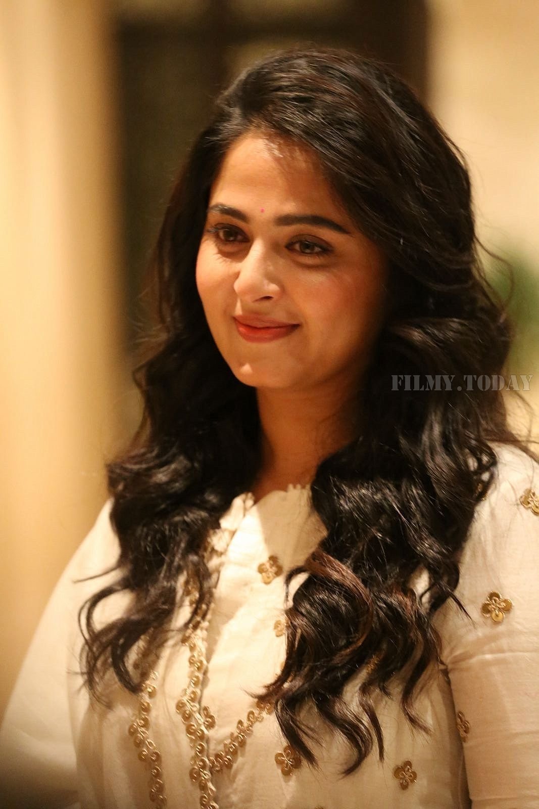 Anushka Shetty - Bhaagamathie Pre Release Event Photos | Picture 1560453