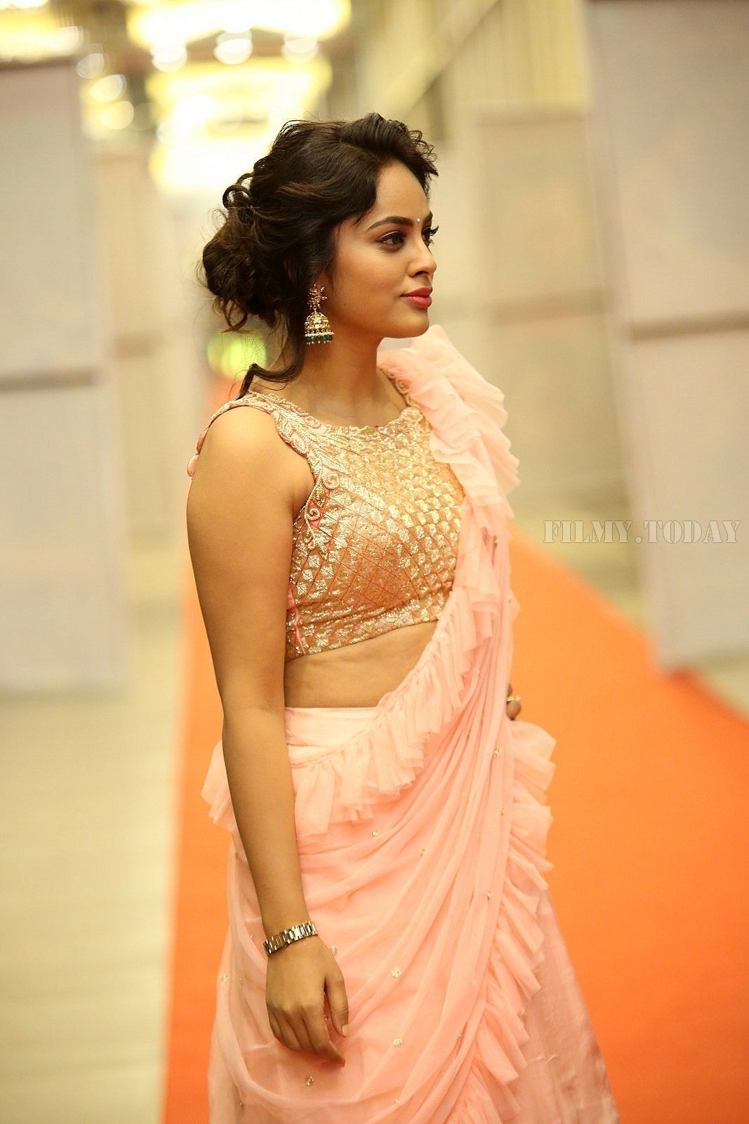 Nandita Swetha - Srinivasa Kalyanam Movie Audio Launch Photos | Picture 1590343