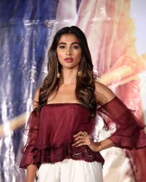 Pooja Hegde - Sakshyam Movie Pre Release Event Photos | Picture 1591206