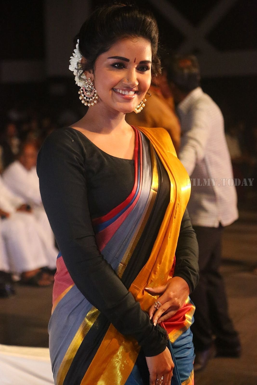 Actress Anupama Parameswaran Stills at Tej I Love You Movie Audio Launch | Picture 1584806