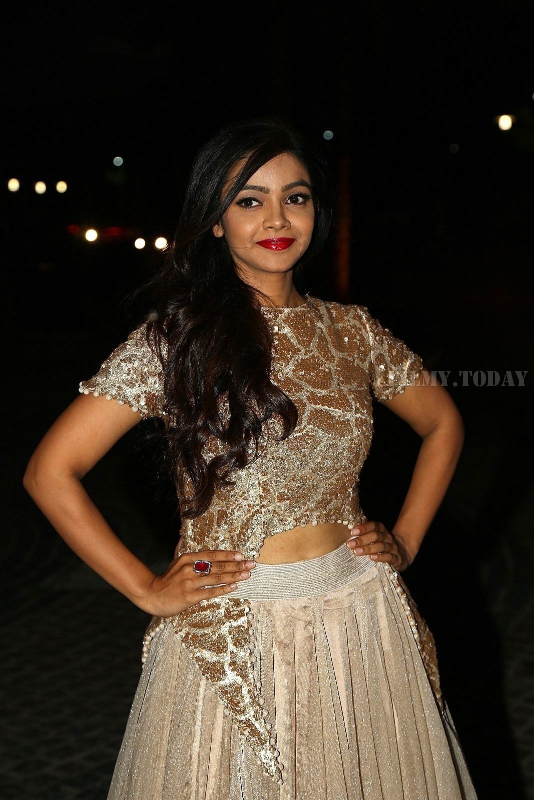 Nithya Shetty - 65th Filmfare Awards South Photos | Picture 1585738