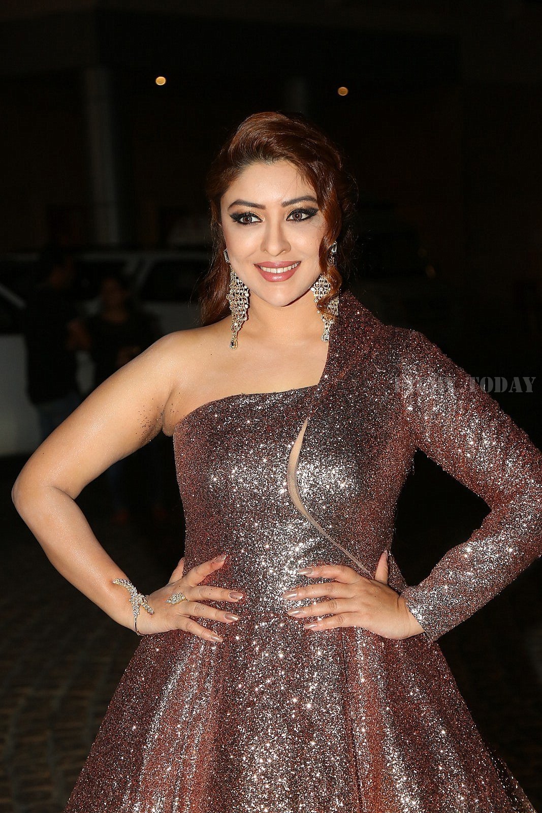Payal Ghosh - 65th Filmfare Awards South Photos | Picture 1585916