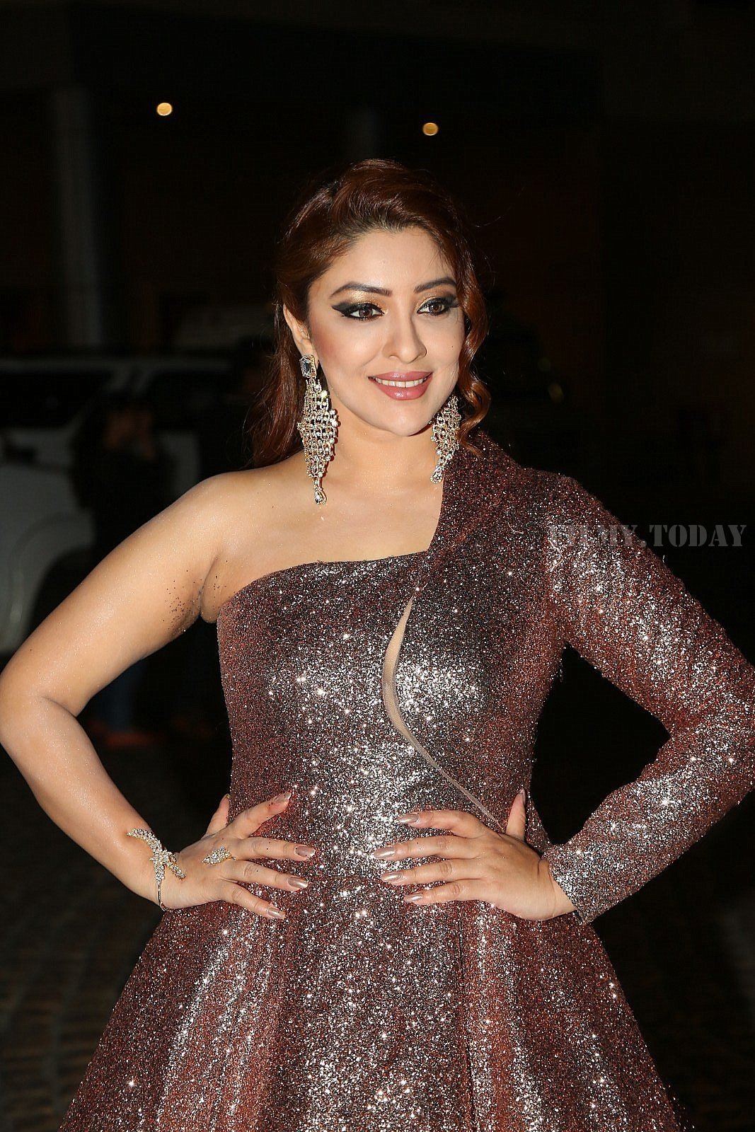 Payal Ghosh - 65th Filmfare Awards South Photos | Picture 1585917