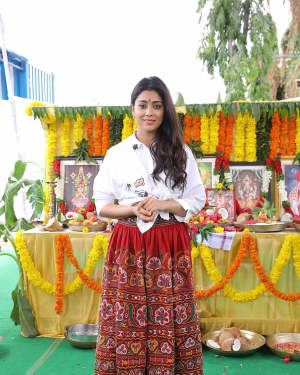 Actress Shriya Saran Stills at New Movie Opening | Picture 1585824