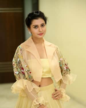 Payal Rajput - RX 100 Telugu Movie Audio Launch Photos | Picture 1588049