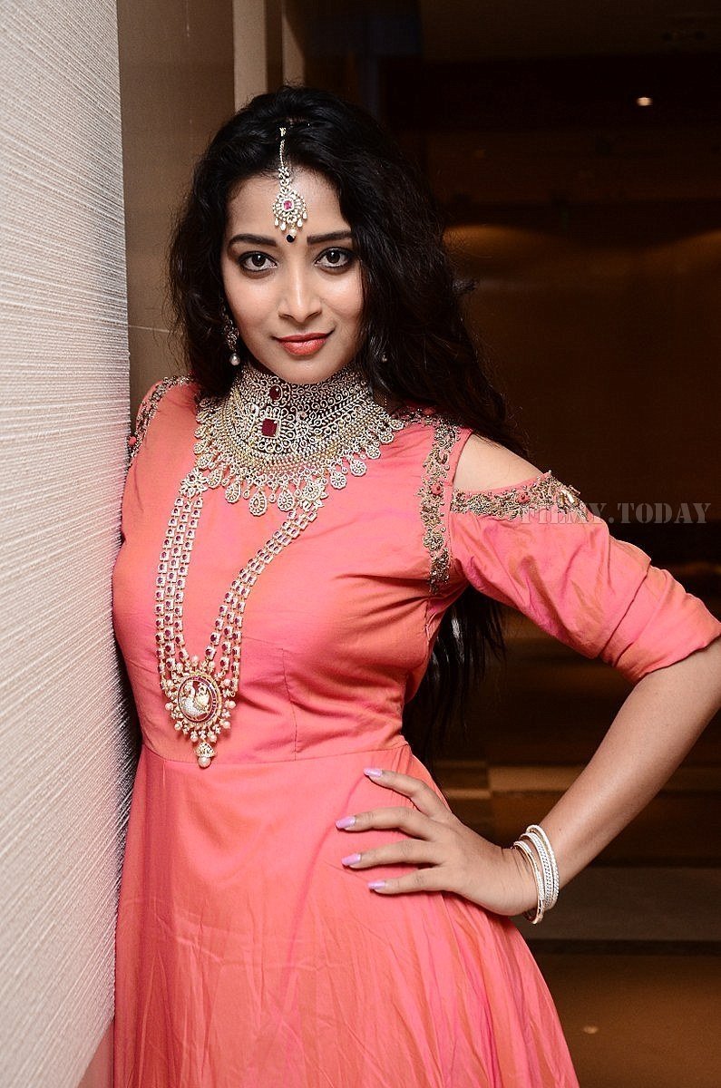 Actress Bhanu Sri at Malabar Gold Collection Launch Photos | Picture 1569031