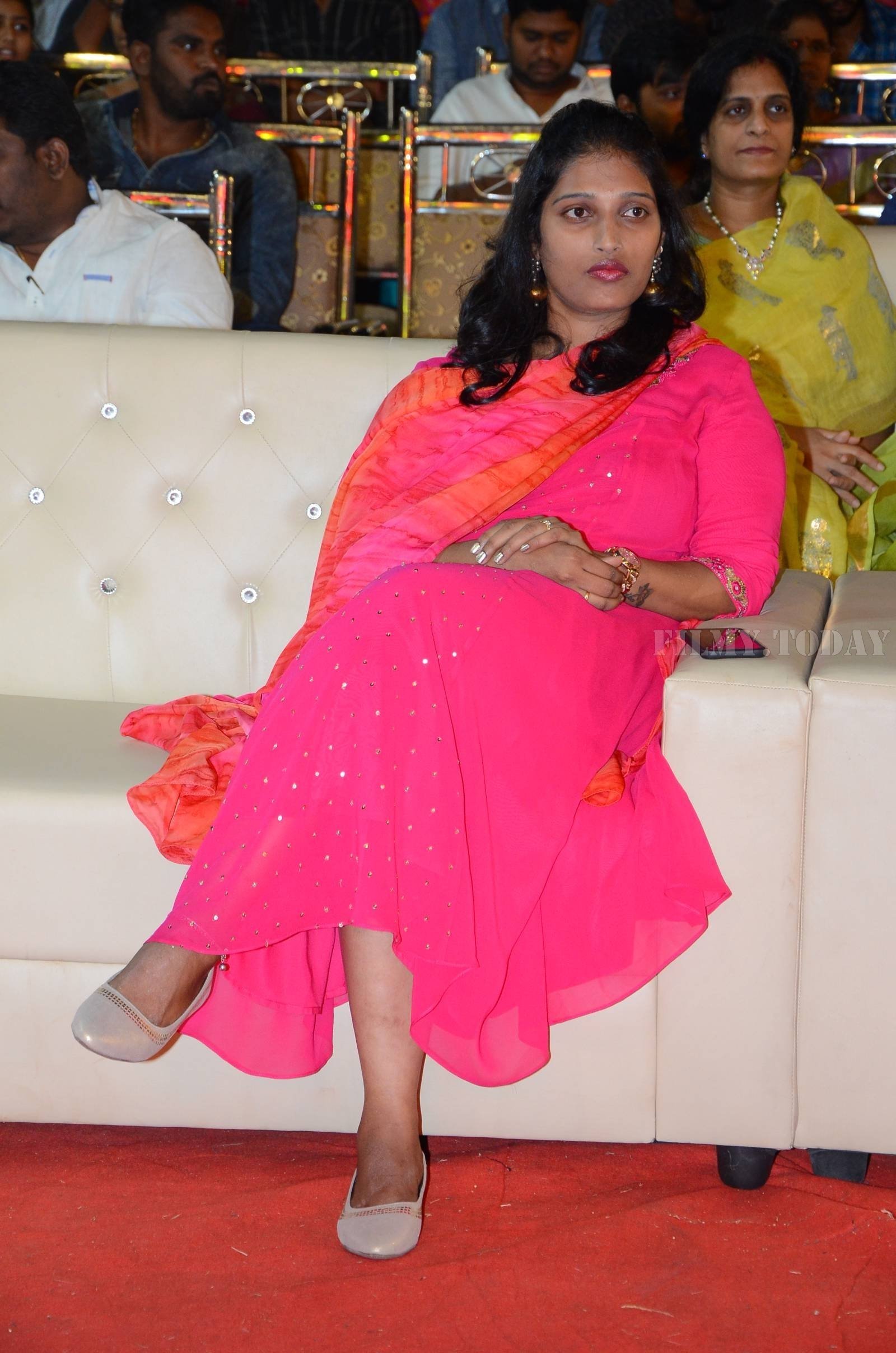 Krishnarjuna Yudham Pre Release Event Photos | Picture 1574171