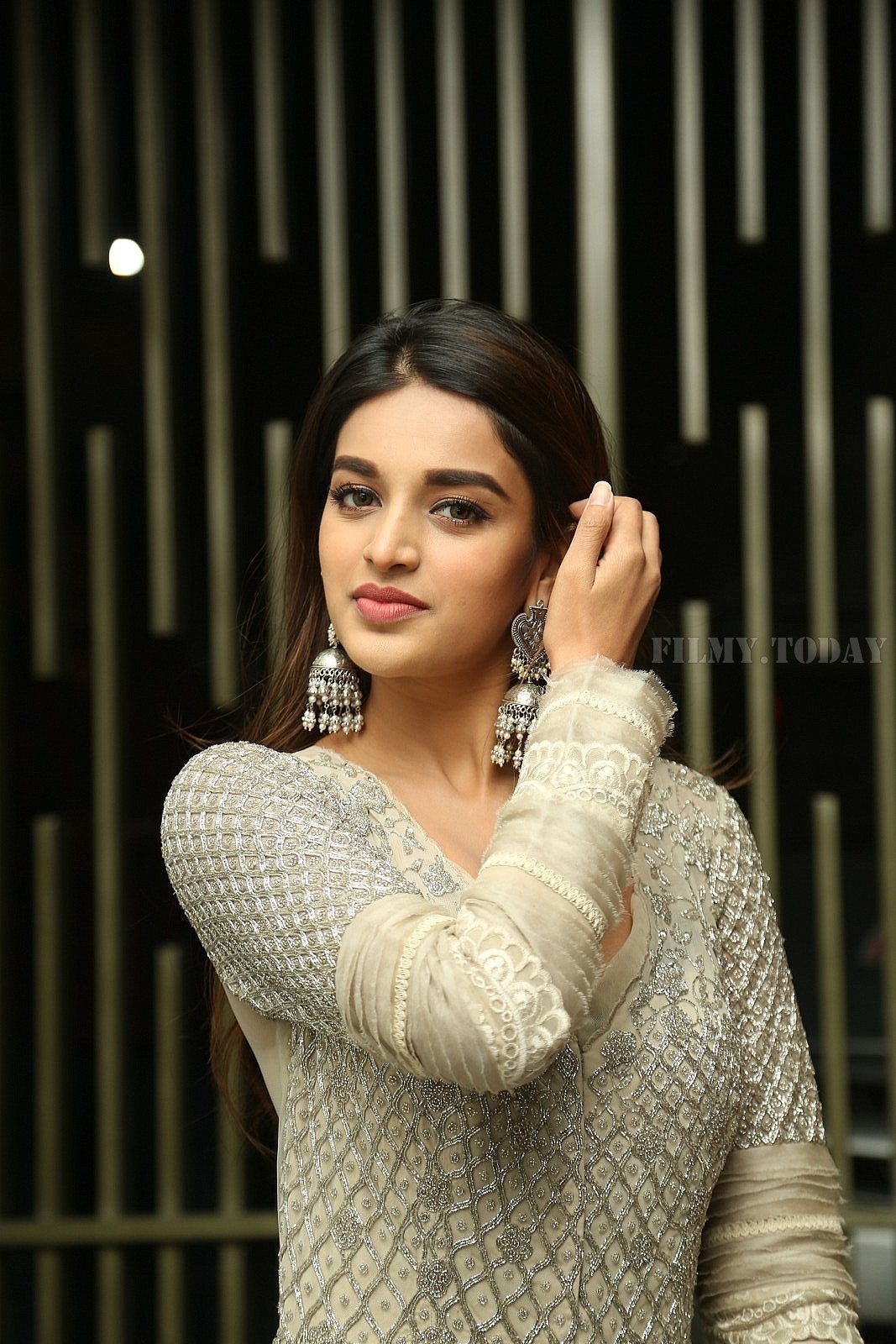 Nidhhi Agerwal - Savyasachi Movie Pre Release Event Photos | Picture 1608988