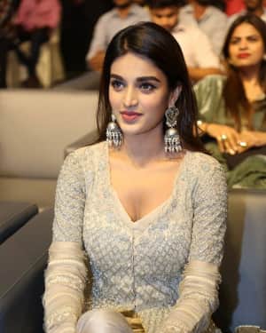 Nidhhi Agerwal - Savyasachi Movie Pre Release Event Photos | Picture 1609010