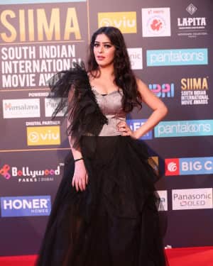 Garima Jain (Jr Nagma) - Photos: SIIMA Awards 2018 Red Carpet - Day 1