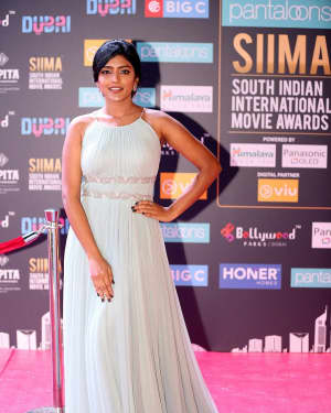 Eesha Rebba - Photos: SIIMA Awards 2018 Red Carpet - Day 1