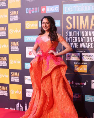 Pragya Jaiswal - Photos: SIIMA Awards 2018 Red Carpet - Day 1