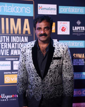 Photos: SIIMA Awards 2018 Red Carpet - Day 2 | Picture 1597334