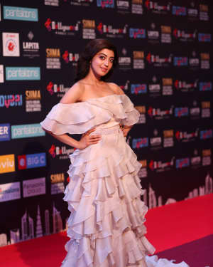 Pranitha Subhash - Photos: SIIMA Awards 2018 Red Carpet - Day 2