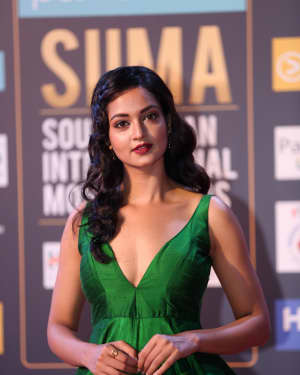 Shanvi Srivastava - Photos: SIIMA Awards 2018 Red Carpet - Day 2