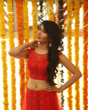 Monica Sharma - Rakul Preet Brother Aman Movie Opening Photos