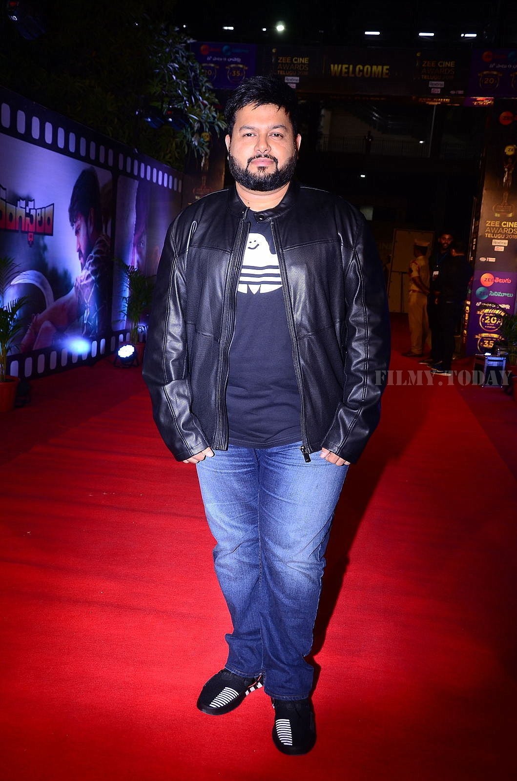 Zee Cine Awards Telugu 2018 Red Carpet Photos | Picture 1620114