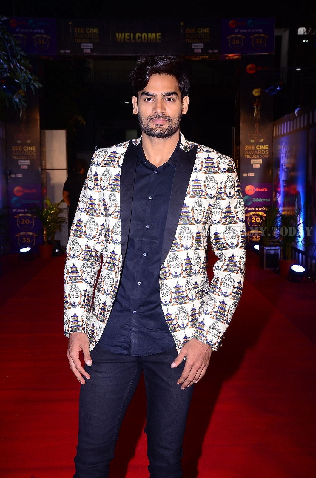 Zee Cine Awards Telugu 2018 Red Carpet Photos | Picture 1620105